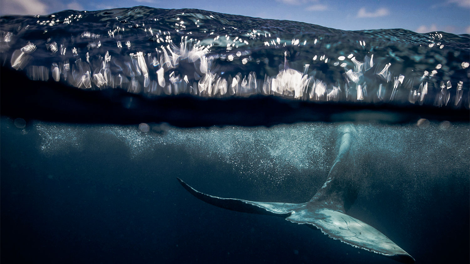 De International Ocean Film Tour is weer van start