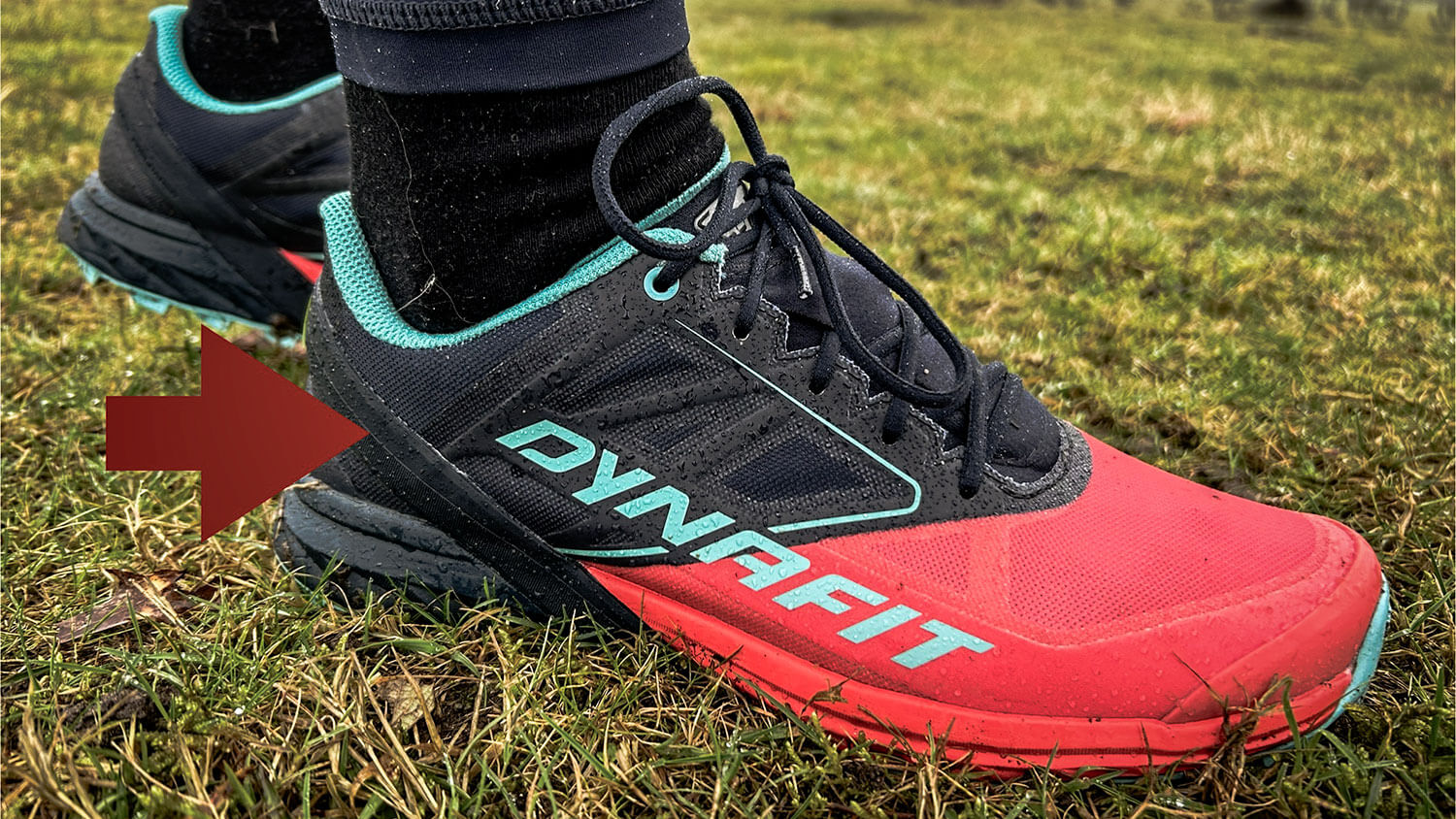 Dynafit Women's Alpine trailschoen onder de loep | Review