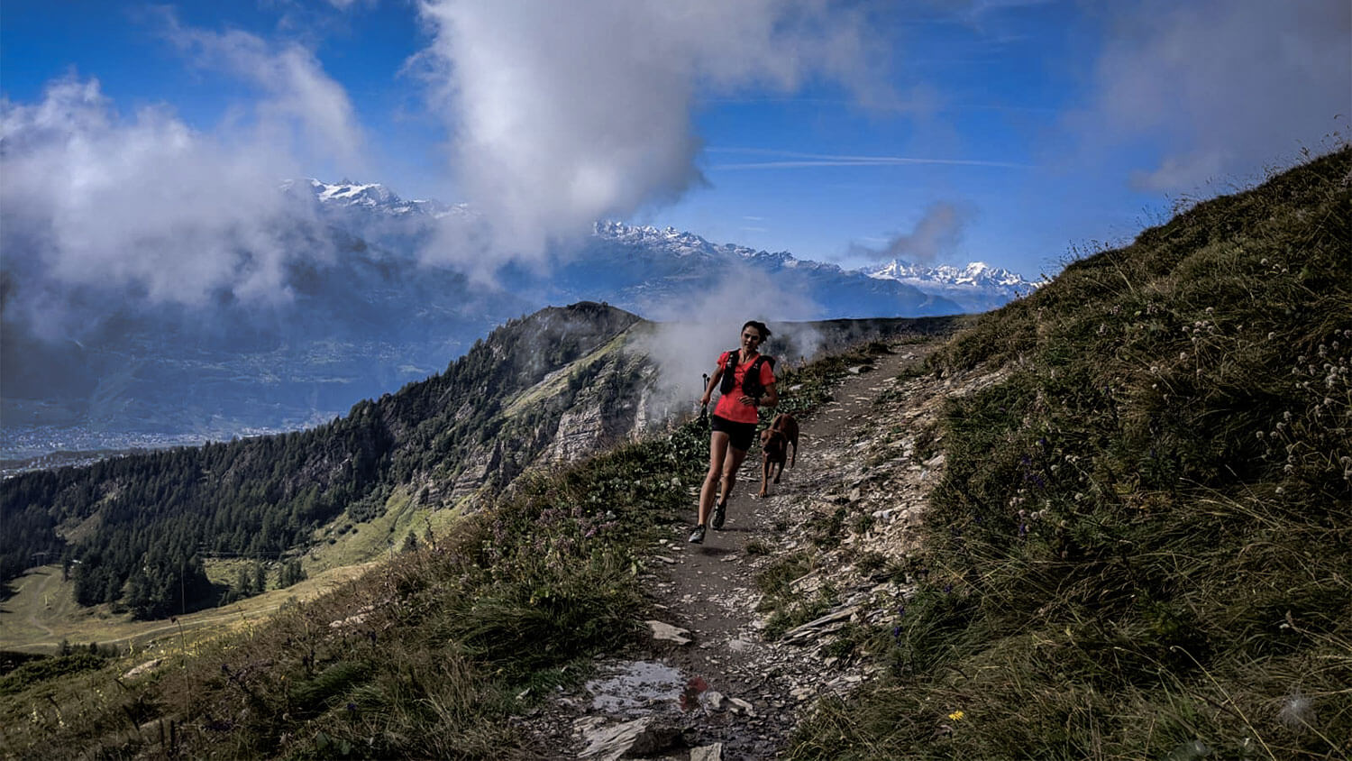 Hoe kies je de juiste trailschoen?