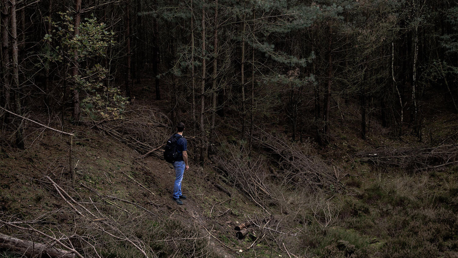 Wandelend de Brabantse Wal verkennen met Komoot