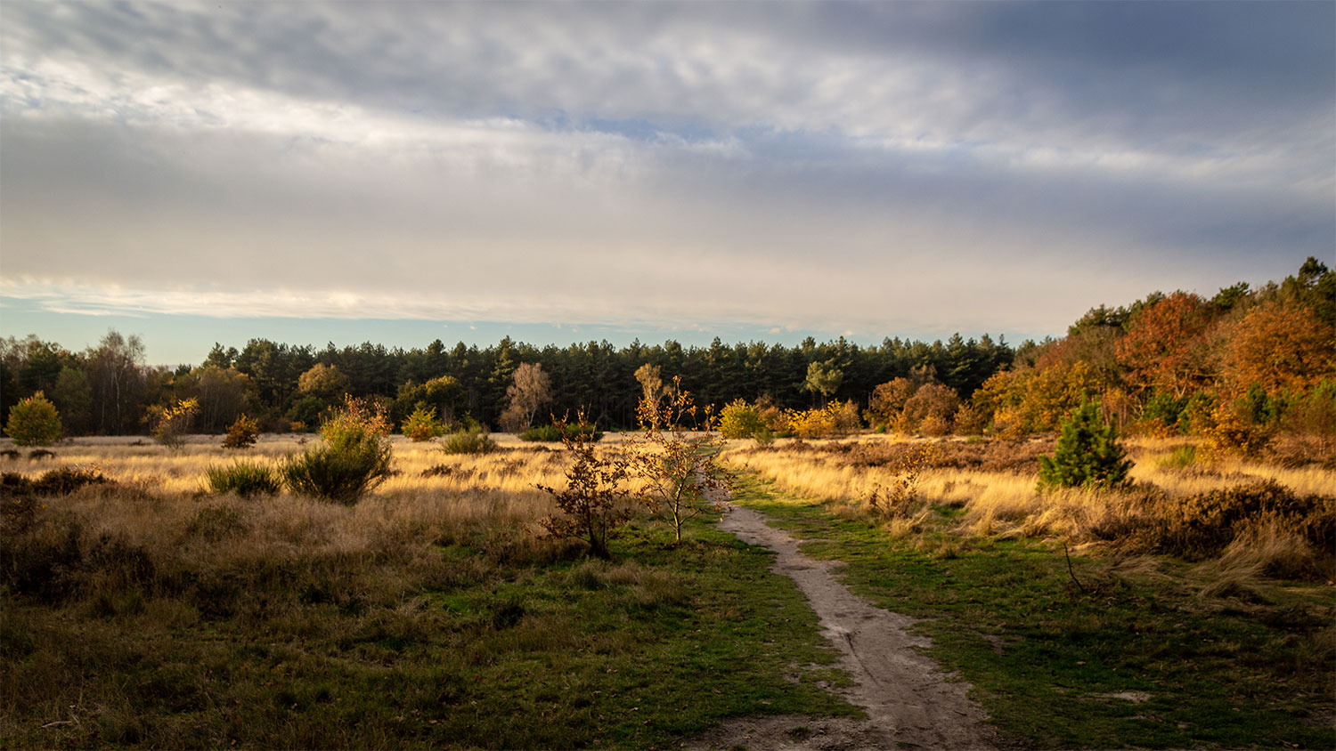 Wandelend de Brabantse Wal verkennen met Komoot