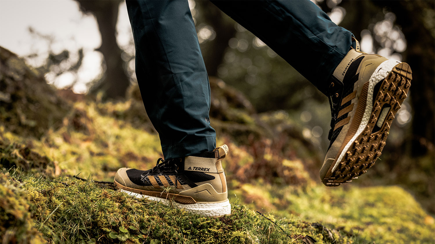 HIKE DISCOVER met Bever en adidas TERREX Gearlimits