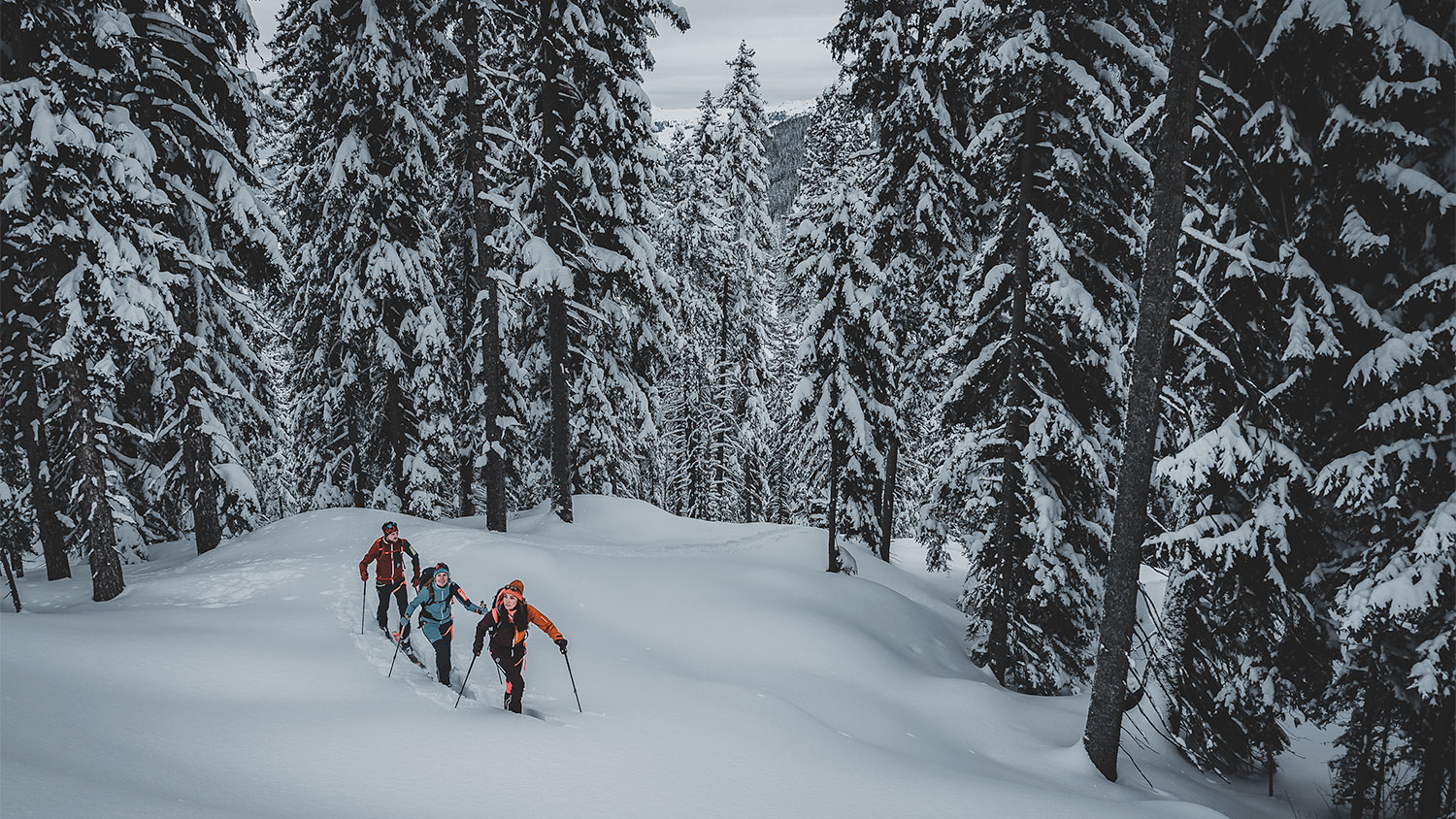 De nieuwe wintercollectie van Ortovox is compleet klimaatneutraal