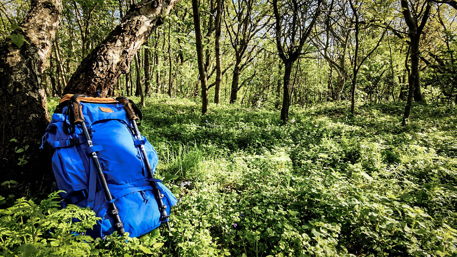 Unmatched Comfort And Versatility: The Fjällräven Kajka 65 Backpack | Review