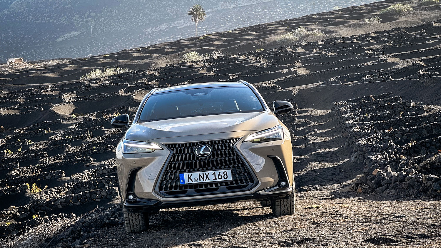 Ruig en offroad Lanzarote per Lexus NX Overtrail