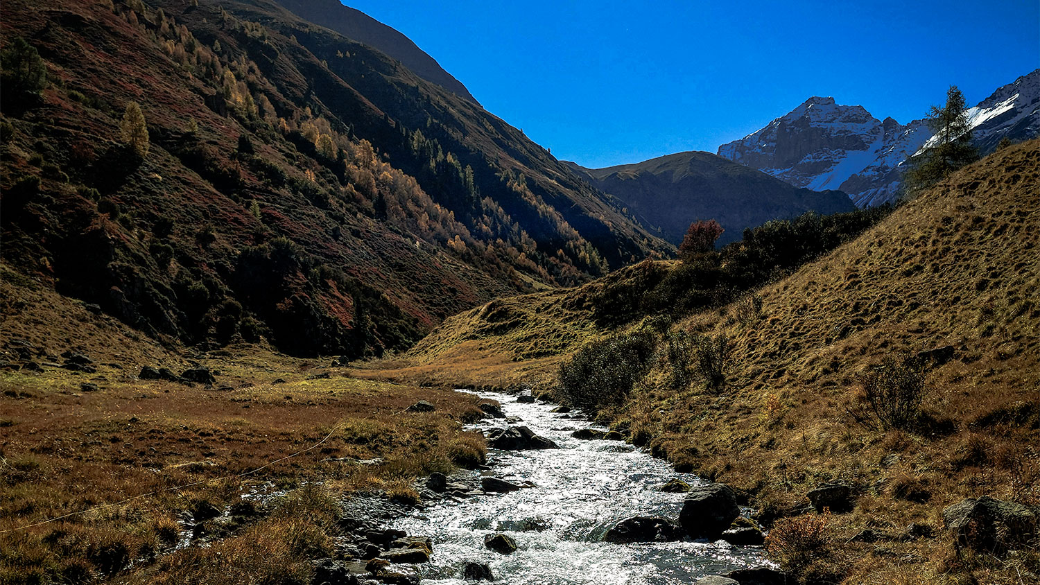 Avontuur in Davos Klosters: mountainbiken, hiken en pure bergbeleving