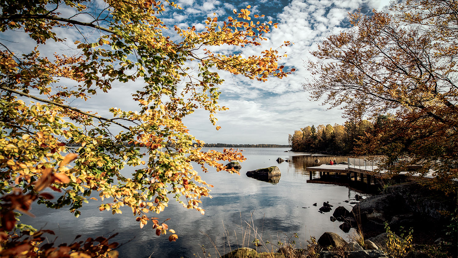 Småland groeit uit tot het mekka van de Nederlandse kampeerder. Van gouden herfstbossen tot rustieke natuurcampings: hier vind je alles wat thuis ontbreekt.
