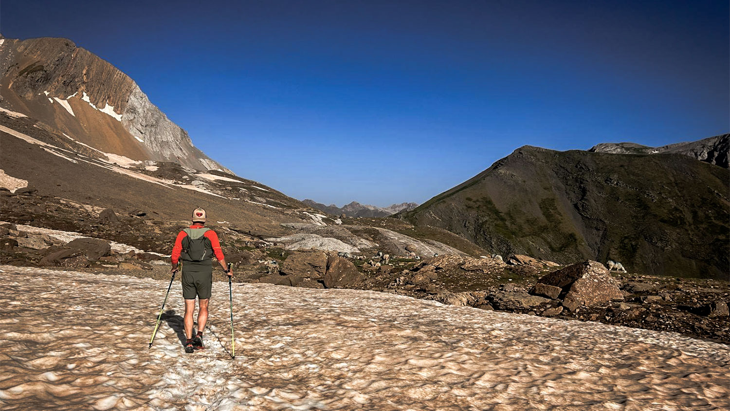 Dynafit Ultra Pro Poles: lichtgewicht kracht voor de lange trail | Review